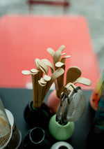 Chashaku (cuillère doseuse)